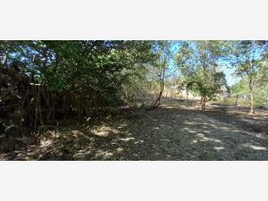 Terreno en venta en Chacahua, Villa de Tututepec, Oaxaca