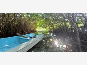 Terreno en venta en Chacahua, Villa de Tututepec, Oaxaca