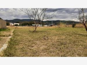Terreno en venta en Noche Buena, Santa Cruz Xoxocotlán, Oaxaca