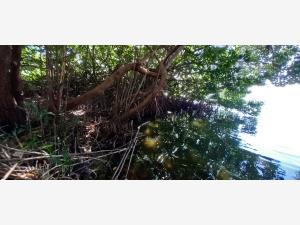 Terreno en venta en Chacahua, Villa de Tututepec, Oaxaca