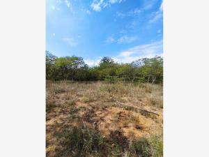 Terreno en venta en Tlalixtac de Cabrera, Tlalixtac de Cabrera, Oaxaca