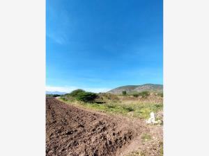 Terreno en venta en Santa María del Tule Centro, Santa María del Tule, Oaxaca