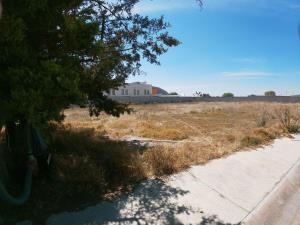 Terreno en venta en San Juan Tilcuautla, San Agustín Tlaxiaca, Hidalgo
