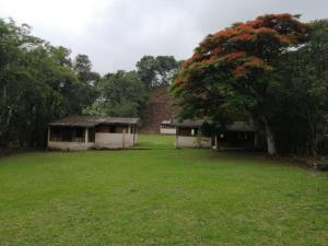 Terreno en venta en El Haya, Xico, Veracruz de Ignacio de la Llave Terreno en venta en El Haya, Xico, Veracruz de Ignacio de la Llave