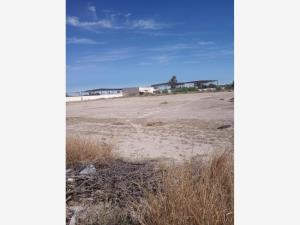 Terreno en renta en Ciudad Industrial, Torreón, Coahuila de Zaragoza