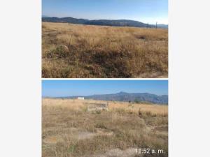 Terreno en venta en Milpillas, Atotonilco El Alto, Jalisco
