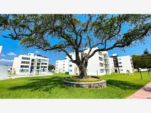 Departamento en venta en Cocoyoc, Yautepec, Morelos