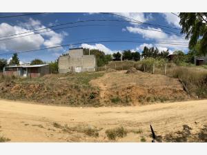 Terreno en venta en La Soledad, Santa Cruz Xoxocotlán, Oaxaca