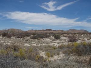 Terreno en venta en San Quintín, San Quintín, Baja California