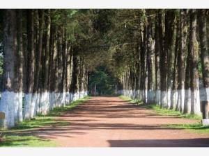 Terreno en venta en Tepoxcuautla, Zacatlán, Puebla