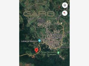 TERRENO EN VENTA (Naolinco, Ver)