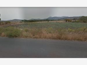 Terreno en venta en Buenavista, Huimilpan, Querétaro Terreno en venta en Buenavista, Huimilpan, Querétaro