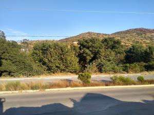 Terreno en renta en Los Encinos, Ensenada, Baja California
