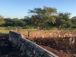 Finca-Rancho en venta en Sucila, Sucilá, Yucatán