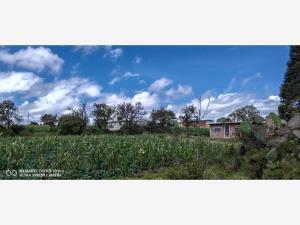 Terreno en venta en Tenextla, Chignahuapan, Puebla