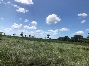 Finca-Rancho en venta en Dzonot Carretero, Tizimín, Yucatán