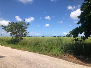 Finca-Rancho en venta en Dzonot Carretero, Tizimín, Yucatán