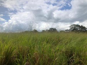Finca-Rancho en venta en Dzonot Carretero, Tizimín, Yucatán