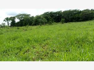 Finca-Rancho en venta en Sucila, Sucilá, Yucatán