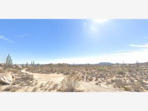 Terreno en venta en Cataviña, San Quintín, Baja California