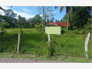Terreno en renta en Las Flores 2da. Sección, Paraíso, Tabasco