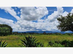 Terreno en venta en Canalejas, Jilotepec, México