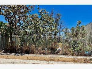 Terreno en venta en Felipe Carrillo Puerto, Martínez de la Torre, Veracruz de Ignacio de la Llave