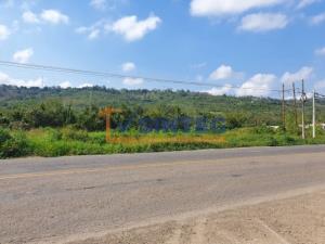 Terreno en venta en San Miguel Mecatepec, Tihuatlán, Veracruz de Ignacio de la Llave Terreno en venta en San Miguel Mecatepec, Tihuatlán, Veracruz de Ignacio de la Llave