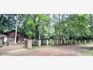 Terreno en venta en El Texme, Tenango de Doria, Hidalgo