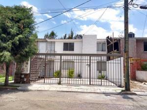 Duplex planta alta