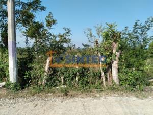 Terreno en venta en Yanga, Poza Rica de Hidalgo, Veracruz de Ignacio de la Llave
