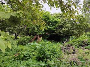 Terreno en venta en Santiago Tepetlapa, Tepoztlán, Morelos