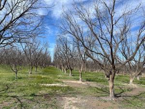 Finca-Rancho en venta en José Mariano Jiménez Centro, Jiménez, Chihuahua