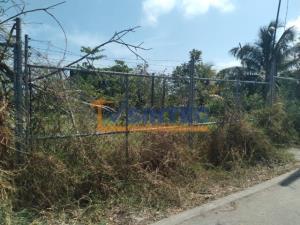 Terreno en renta en La Mata, Tuxpan, Veracruz de Ignacio de la Llave