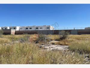 Terreno en renta en San Agustín, Torreón, Coahuila de Zaragoza