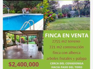 Finca-Rancho en venta en Paso del Toro, Medellín de Bravo, Veracruz de Ignacio de la Llave