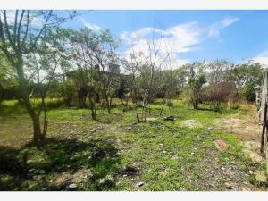 Terreno en venta en Gabriel Tepepa, Cuautla, Morelos Terreno en venta en Gabriel Tepepa, Cuautla, Morelos