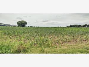 Terreno en venta en Huamantla Centro, Huamantla, Tlaxcala