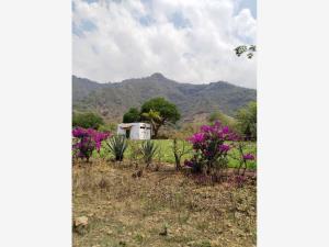 Terreno en venta en San Sebastián, Malinalco, México Terreno en venta en San Sebastián, Malinalco, México