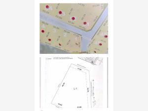 Terreno en venta en Emiliano Zapata Nexatengo, Atlixco, Puebla Terreno en venta en Emiliano Zapata Nexatengo, Atlixco, Puebla
