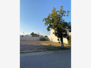 Terreno en venta en Las Trojes, Torreón, Coahuila de Zaragoza Terreno en venta en Las Trojes, Torreón, Coahuila de Zaragoza