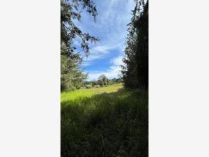 Terreno en venta en Tapalpa, Tapalpa, Jalisco