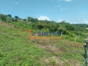 Terreno en venta en Lomas Verdes, Poza Rica de Hidalgo, Veracruz de Ignacio de la Llave