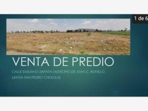 Terreno en venta en San Lucas Nextetelco, Juan C. Bonilla, Puebla