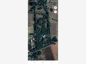 Finca-Rancho en venta en Ejido de Jilotepec, Jilotepec, México