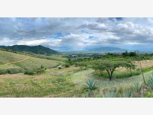 Terreno en venta en San Andres Huayapam, San Andrés Huayapam, Oaxaca