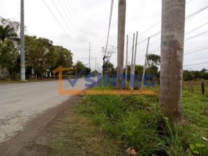Terreno en venta en La Victoria Kilómetro 47, Papantla, Veracruz de Ignacio de la Llave