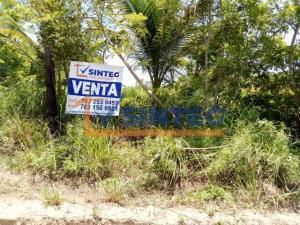 Terreno en venta en Tecolutla, Tecolutla, Veracruz de Ignacio de la Llave