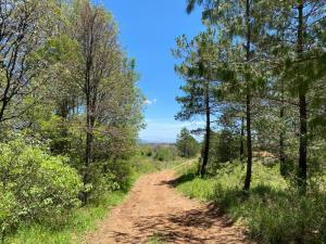 Finca-Rancho en venta en San Miguel Dehetí, Amealco de Bonfil, Querétaro