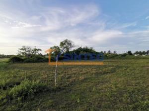 Terreno en venta en La Guadalupe, Tecolutla, Veracruz de Ignacio de la Llave